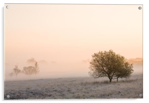 Morning on the moor. Acrylic by Bill Allsopp