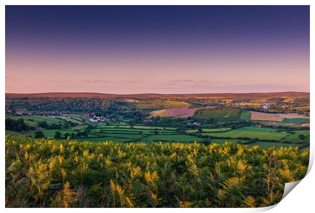 View of Rosedale in Yorkshire Print by Bill Allsopp