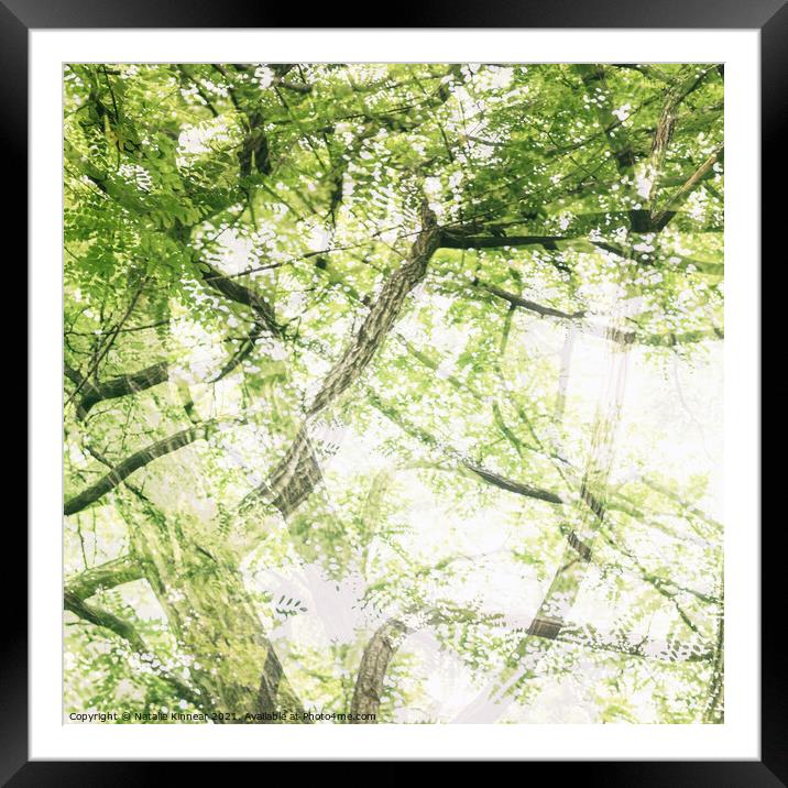 Tree Abstract Framed Mounted Print by Natalie Kinnear
