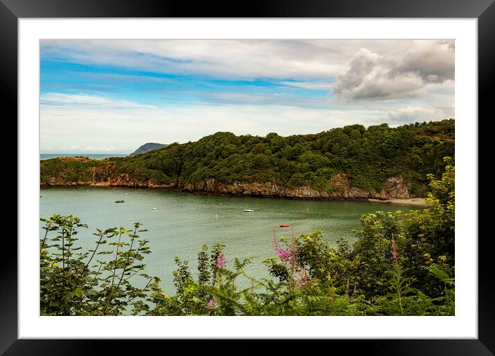 Fishguard Bay Framed Mounted Print by Mal Spain