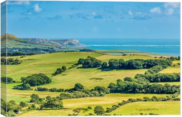 Purbeck to Lulworth. Canvas Print by Bill Allsopp
