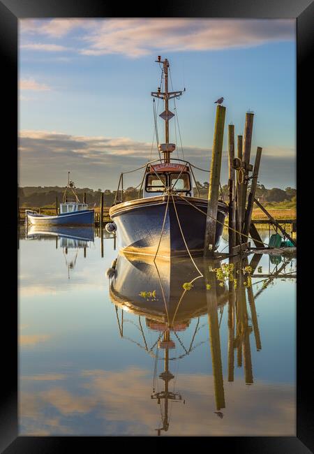 Elizabeth. Framed Print by Bill Allsopp