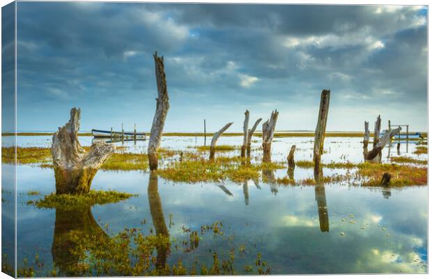 High tide at the coal barn tide at the stumps. Canvas Print by Bill Allsopp