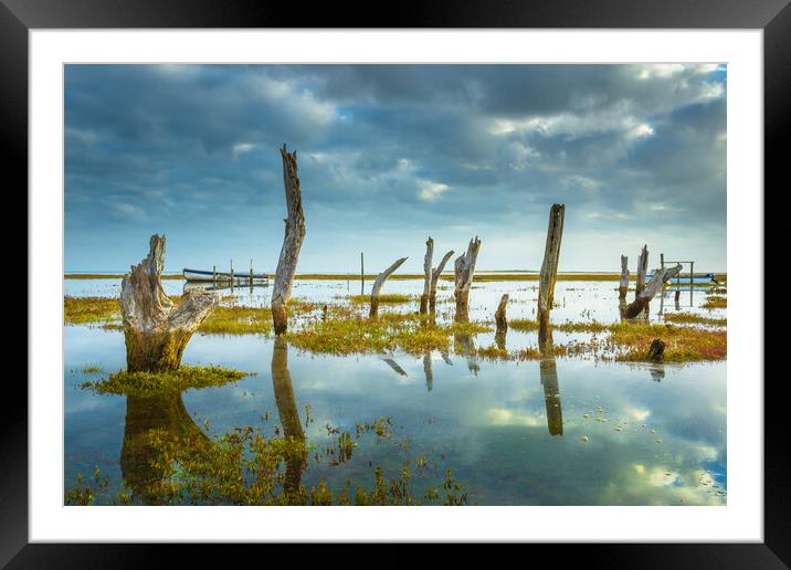 High tide at the coal barn tide at the stumps. Framed Mounted Print by Bill Allsopp