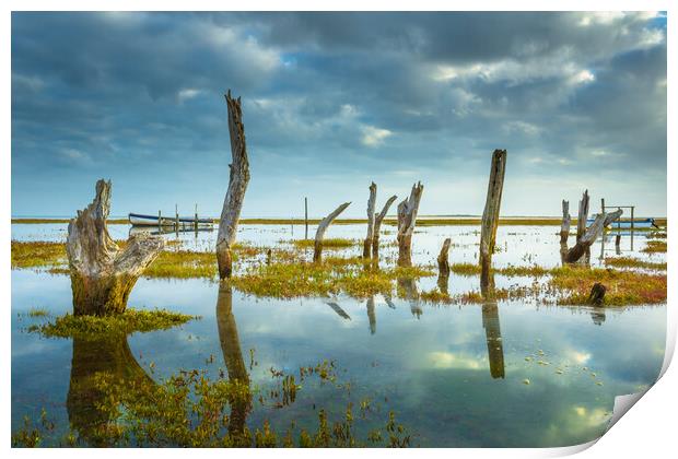 High tide at the coal barn tide at the stumps. Print by Bill Allsopp