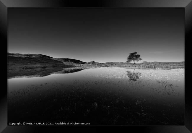 lone tree at Kelly hall tarn in the lake district black and white  570 Framed Print by PHILIP CHALK