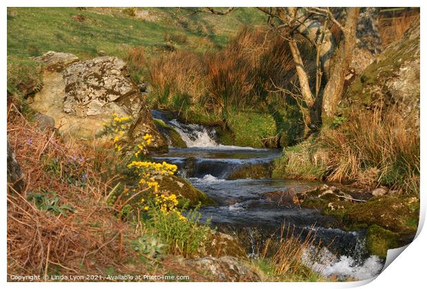 Rannerdale Valley Lake District UK Print by Linda Lyon