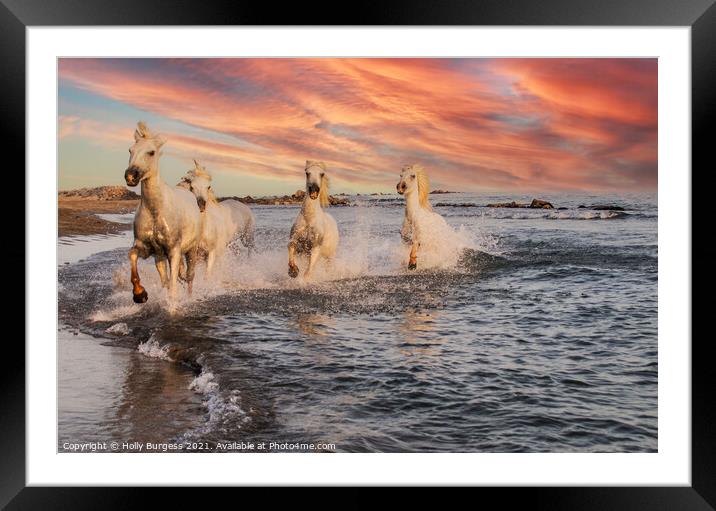 Enigmatic Camargue Horse at Dusk Framed Mounted Print by Holly Burgess