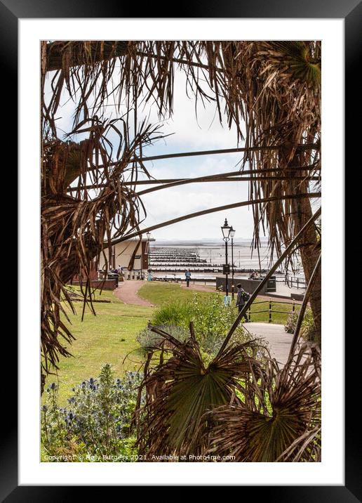 Hunstanton park looking through  palm trees to the coast Framed Mounted Print by Holly Burgess