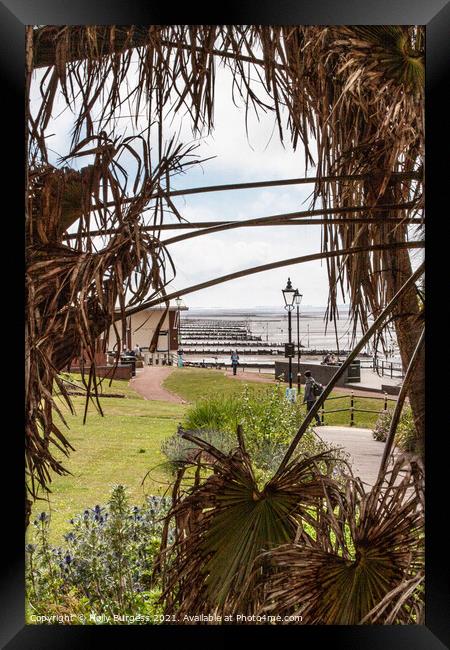 Hunstanton park looking through  palm trees to the coast Framed Print by Holly Burgess
