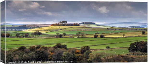 Minninglow and Aleck Low beyond Canvas Print by Chris Drabble