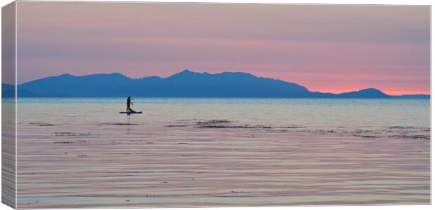 Lady paddle boarding with dog at Greenan beach. Canvas Print by Allan Durward Photography