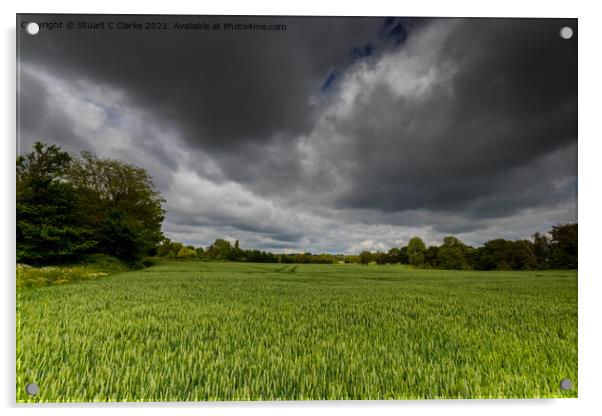 Boxgrove farmland Acrylic by Stuart C Clarke