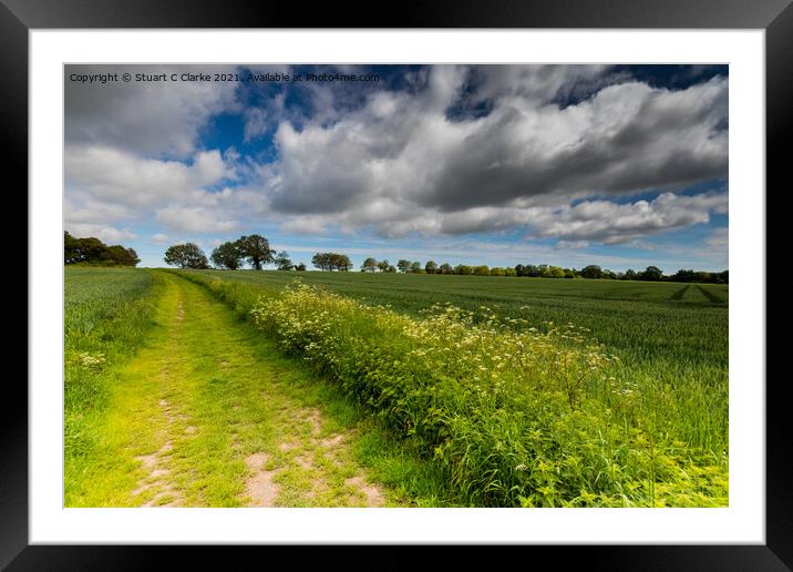 Boxgrove farmland Framed Mounted Print by Stuart C Clarke