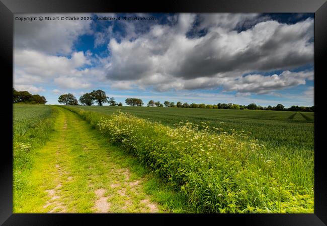 Boxgrove farmland Framed Print by Stuart C Clarke