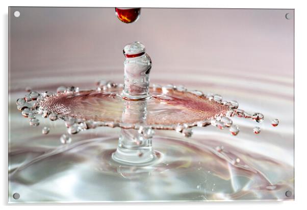 Water Drop Collision  Acrylic by Antonio Ribeiro