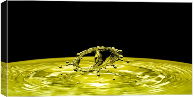 Water Drop Collision on Black Background Canvas Print by Antonio Ribeiro