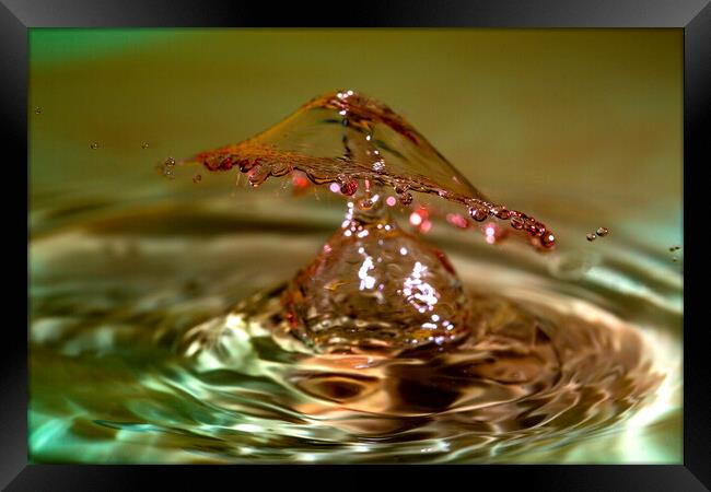 Water Drop Crown Collision Framed Print by Antonio Ribeiro
