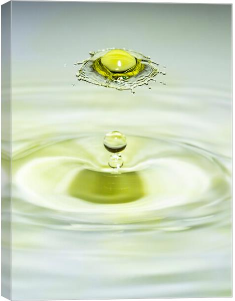 Yellow Water Drop Collision Canvas Print by Antonio Ribeiro