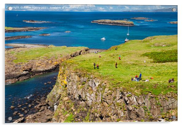 The Treshnish Isles, Inner Hebrides, Scotland Acrylic by Navin Mistry