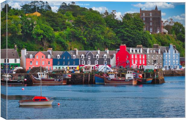 Tobermory Harbour, Isle of Mull, Scotland  Canvas Print by Navin Mistry