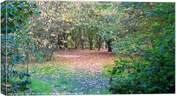 Looking Through to Pathway of Trees and Fallen Leaves Canvas Print by GJS Photography Artist