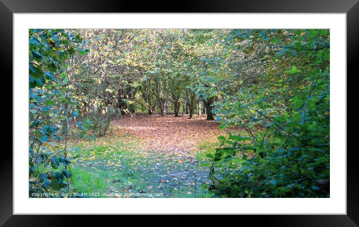 Looking Through to Pathway of Trees and Fallen Leaves Framed Mounted Print by GJS Photography Artist