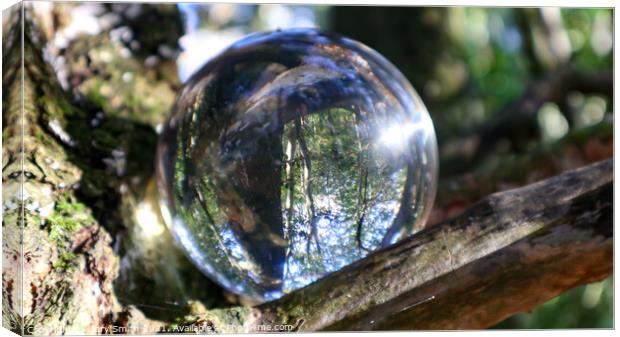 Photoball in Tree Canvas Print by GJS Photography Artist