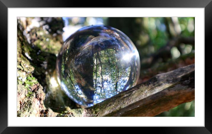 Photoball in Tree Framed Mounted Print by GJS Photography Artist