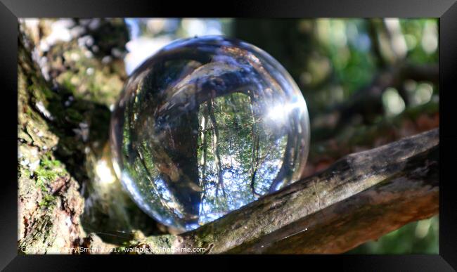 Photoball in Tree Framed Print by GJS Photography Artist