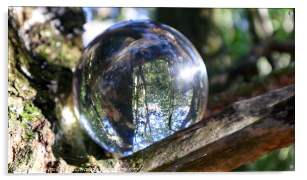 Photoball in Tree Acrylic by GJS Photography Artist