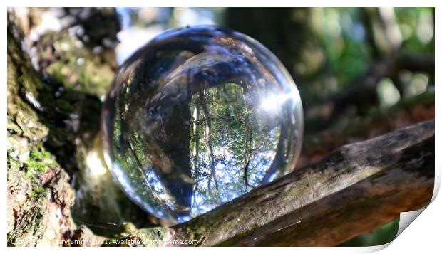 Photoball in Tree Print by GJS Photography Artist