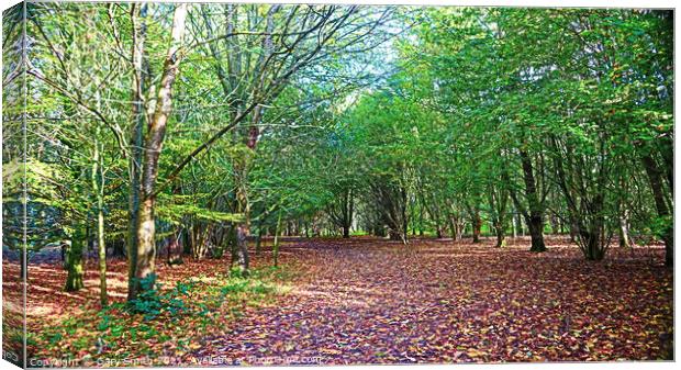 Tree Pathway with Fallen Colourful Leaves Canvas Print by GJS Photography Artist