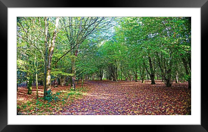 Tree Pathway with Fallen Colourful Leaves Framed Mounted Print by GJS Photography Artist