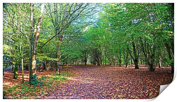Tree Pathway with Fallen Colourful Leaves Print by GJS Photography Artist