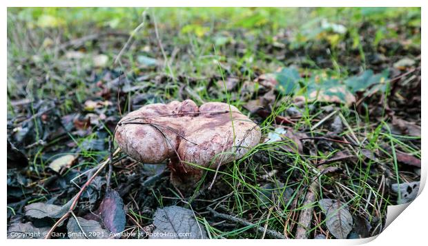 Peppery Bolete Mushroom Print by GJS Photography Artist