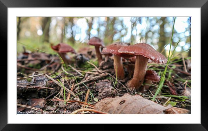 Red Waxcaps Framed Mounted Print by GJS Photography Artist