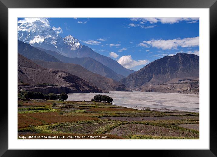 Fields and Mountains near Kagbeni, Himalayas, Nepa Framed Mounted Print by Serena Bowles