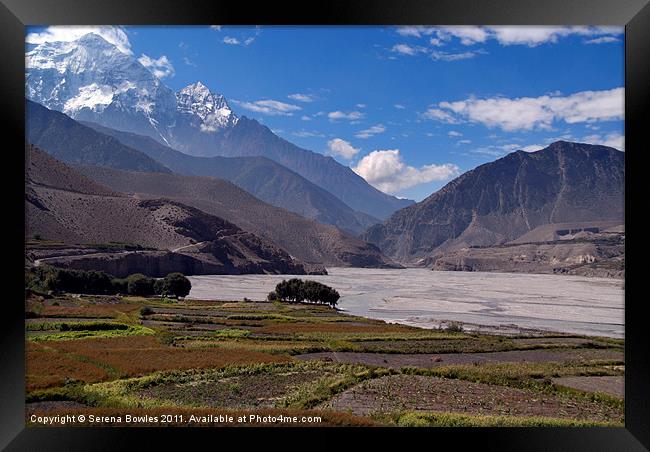 Fields and Mountains near Kagbeni, Himalayas, Nepa Framed Print by Serena Bowles