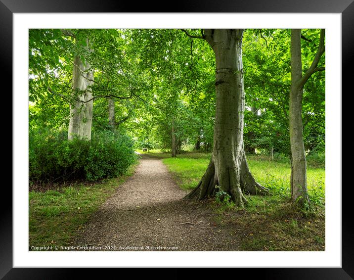 Path through the woods at Burton Agnes Framed Mounted Print by Angela Cottingham