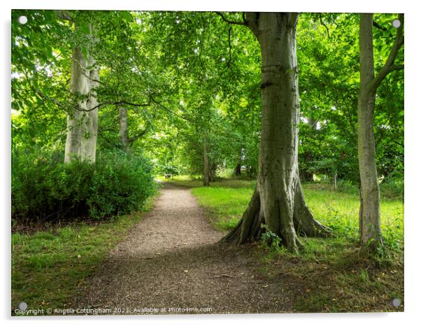 Path through the woods at Burton Agnes Acrylic by Angela Cottingham