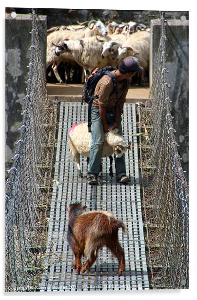 Goats on Suspension Bridge Tikhedhunga Acrylic by Serena Bowles