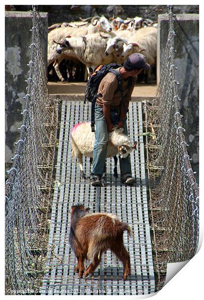 Goats on Suspension Bridge Tikhedhunga Print by Serena Bowles