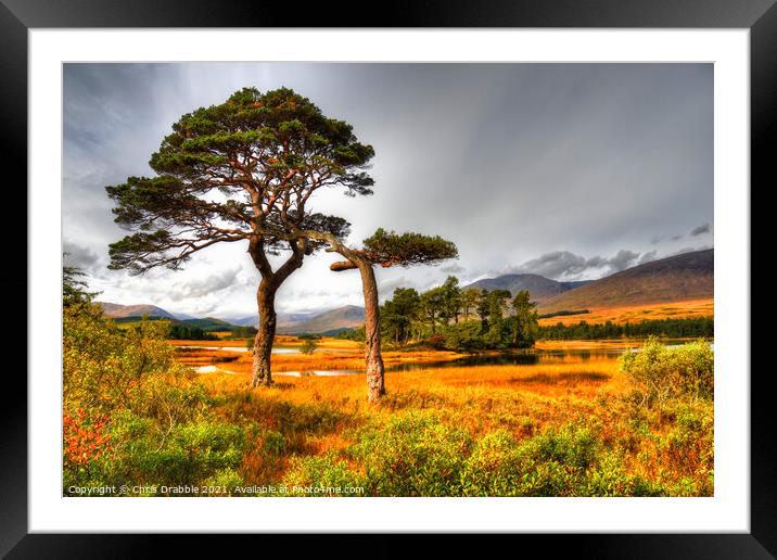 Loch Tulla Autumn light Framed Mounted Print by Chris Drabble