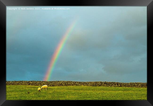 Where Sheep may Safely Graze under a Rainbow  Framed Print by Nick Jenkins
