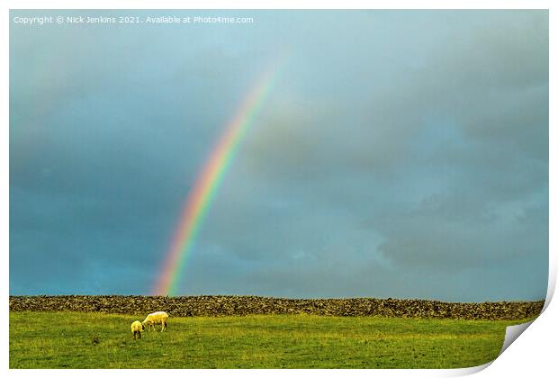 Where Sheep may Safely Graze under a Rainbow  Print by Nick Jenkins