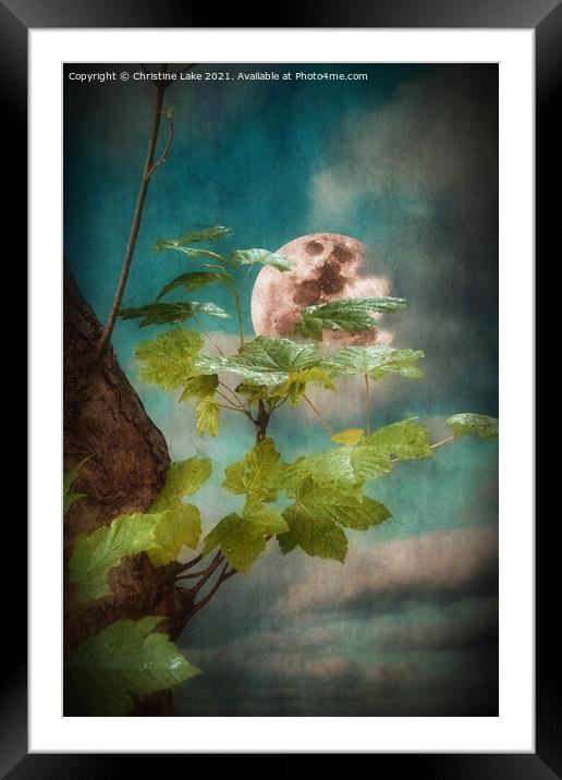 Night Time Serenity Framed Mounted Print by Christine Lake