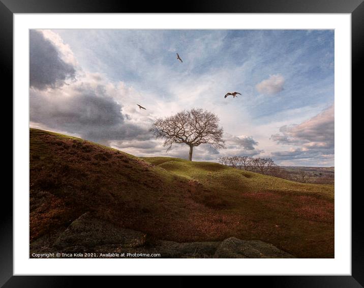 Red Kites Over A Nude In Nature Framed Mounted Print by Inca Kala