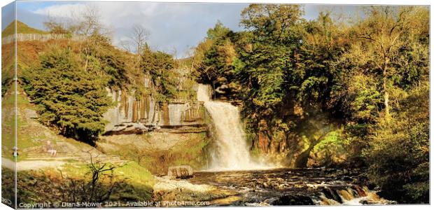Thornton Force river Twiss Panoramic Canvas Print by Diana Mower