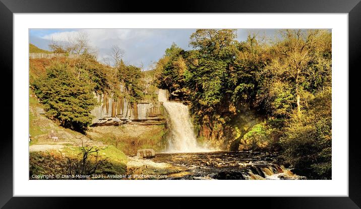 Thornton Force river Twiss Panoramic Framed Mounted Print by Diana Mower